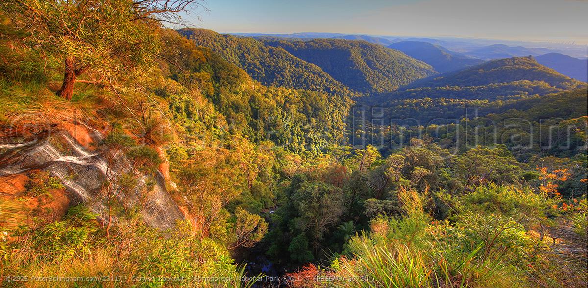 Peter Bellingham Photography Canyon Lookout - Springbrook National Park - QLD T (PB5D 00 3972)